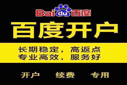百度推广广告案例：快速抢占市场份额